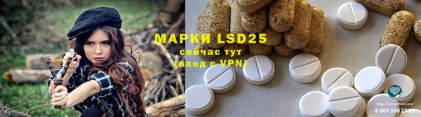стафф Краснослободск
