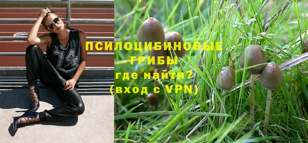 крисы Краснотурьинск