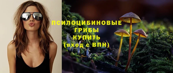 крисы Кулебаки